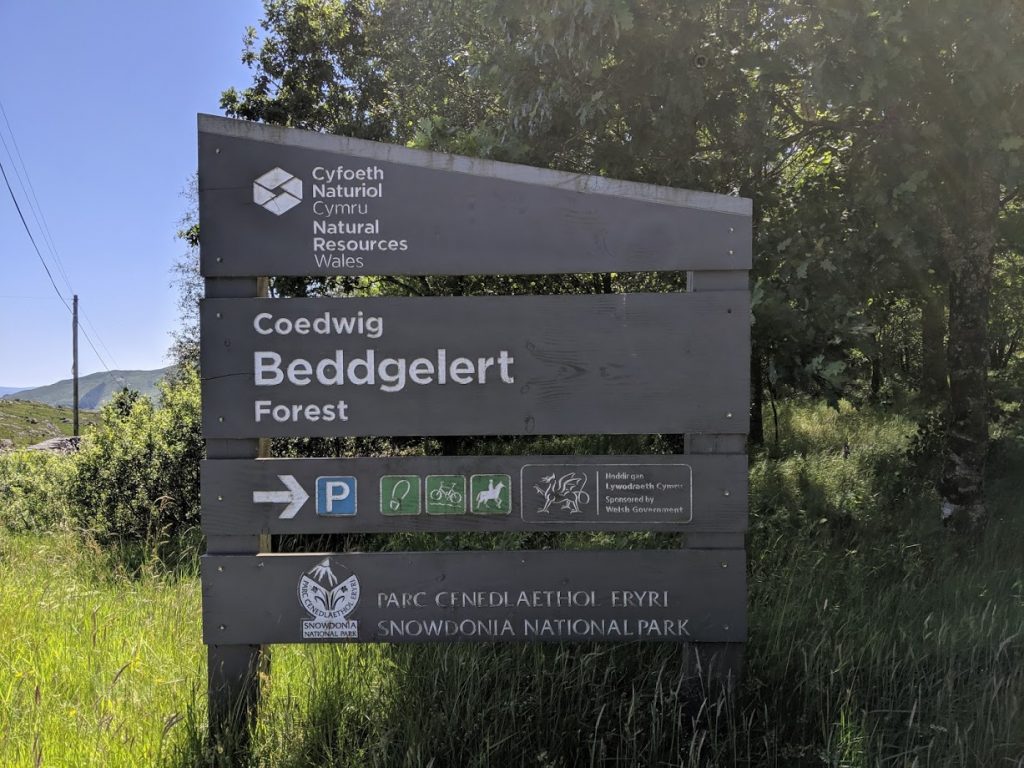 Bedwen - Beddgelert Forest MTB Trail