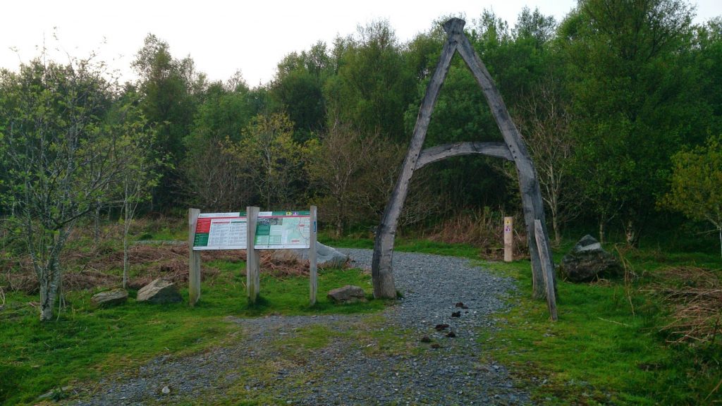 Mountain Biking in the Beddgelert Forest