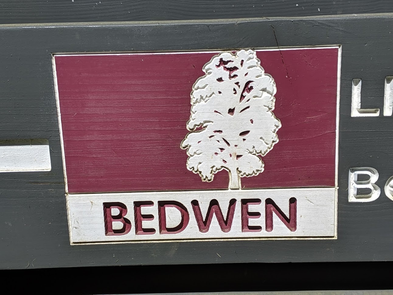 Bedwen - Beddgelert Forest MTB Trail