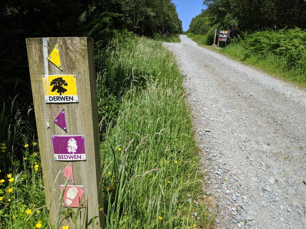 Bedwen - Beddgelert Forest MTB Trail