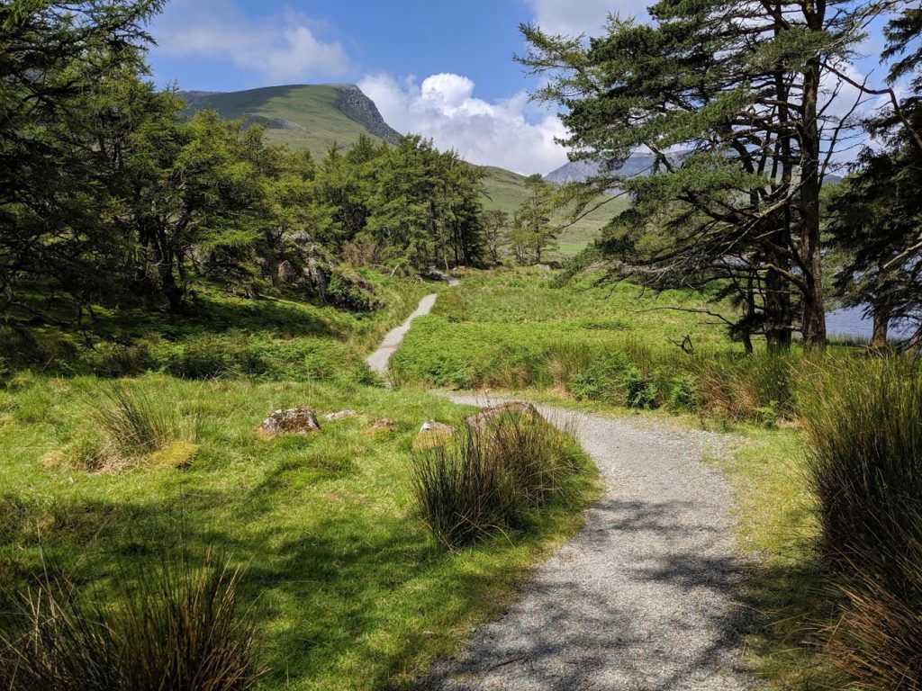 Mountain Biking in the Beddgelert Forest