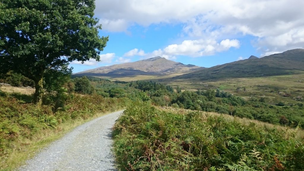 Mountain Biking in the Beddgelert Forest