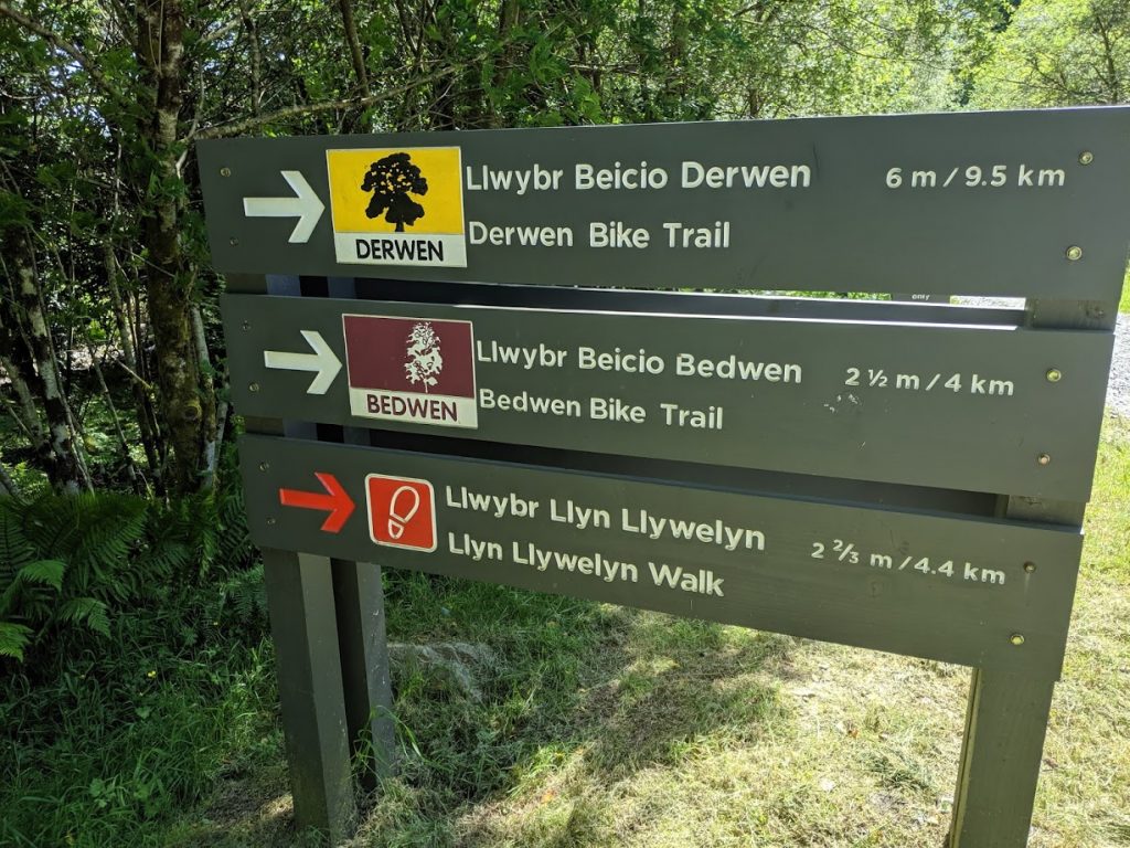 Bedwen - Beddgelert Forest MTB Trail