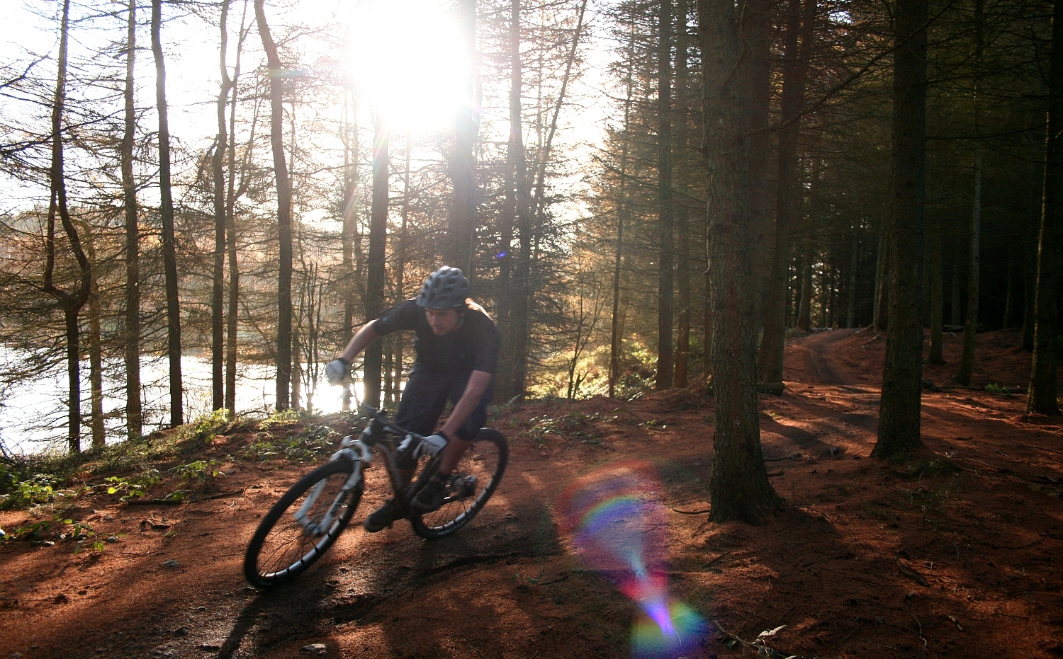 Llandegla Forest One Planet Adventure MTB Centre