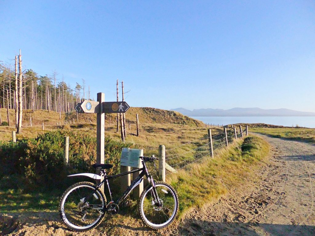 Coed Niwbrch - Newborough Forest Mountain Biking