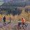 Gorse Cycle Trail at Whinlatter