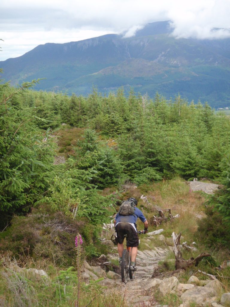 Whinlatter Mountain Bike Centre